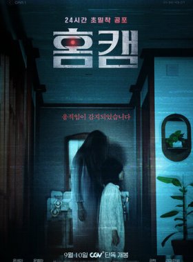 Домашняя камера